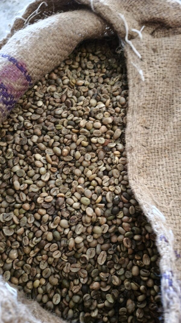 Indonesian Green Beans - Image 4